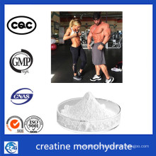 Soins de santé 6020-87-7 Powder GMP Graine Creatine Monohydrate